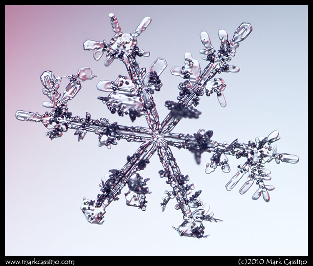Photograph of a Snowflake