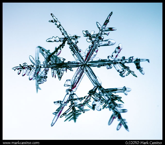 Photograph of a Snowflake