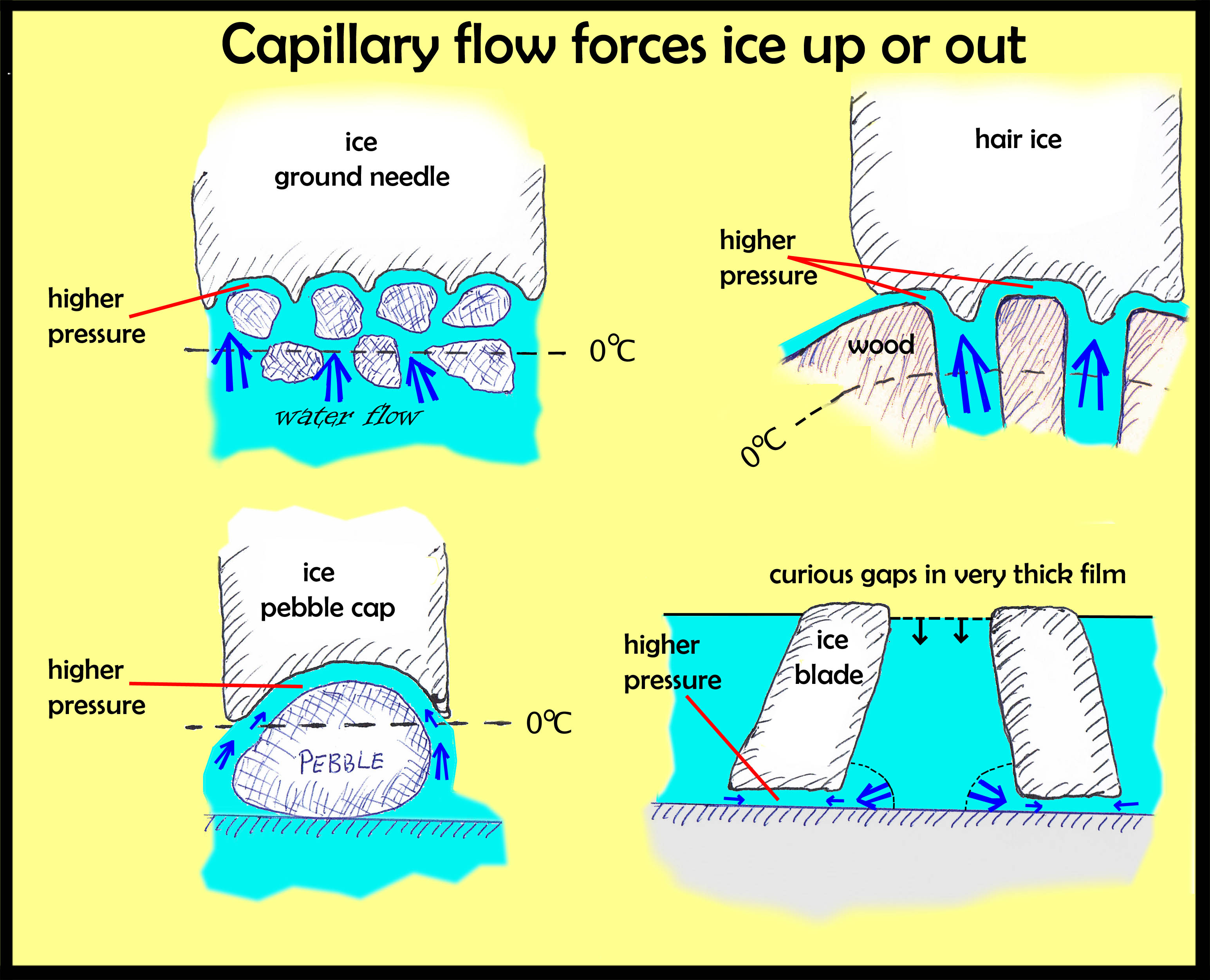 Capillary Water 47