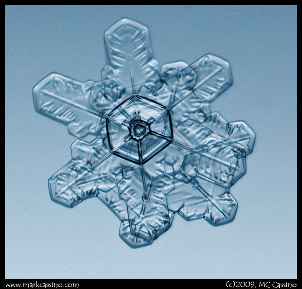 Irregular Snow Crystal