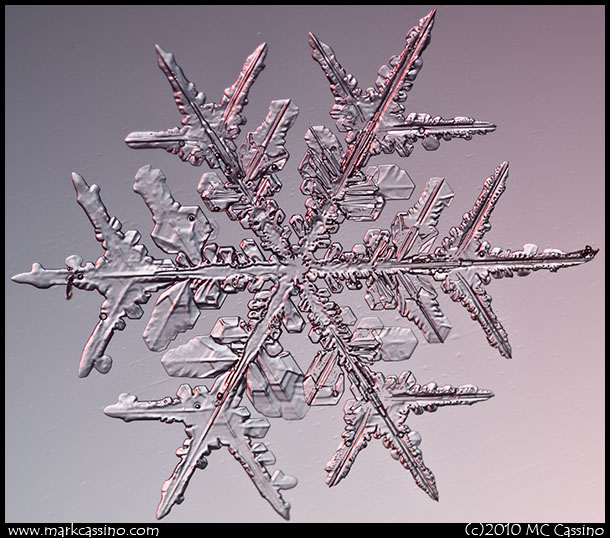Snowflake Photograh