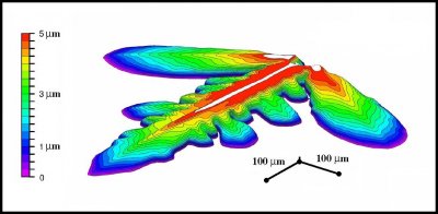 Two-level nature of branched crystals