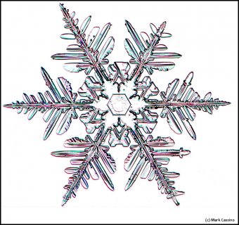 How some snow crystals hide their droplet origin
