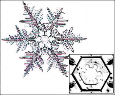 How some snow crystals hide their droplet origin