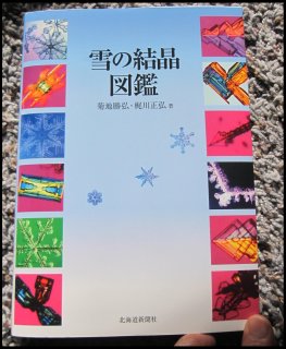 A complete picture book of all (known) snow types