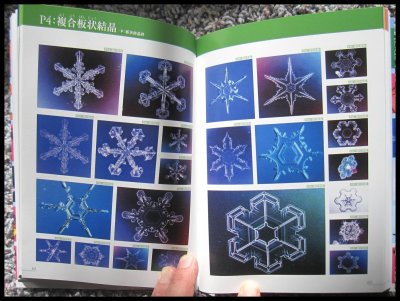 A complete picture book of all (known) snow types