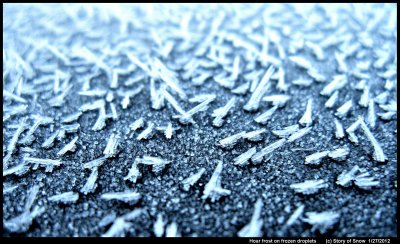 Hoar Frost on Plastic