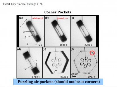 Some &quot;Inexplicable&quot; Snow-crystal Features: Applications of Lateral Growth