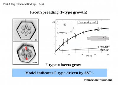 Some &quot;Inexplicable&quot; Snow-crystal Features: Applications of Lateral Growth