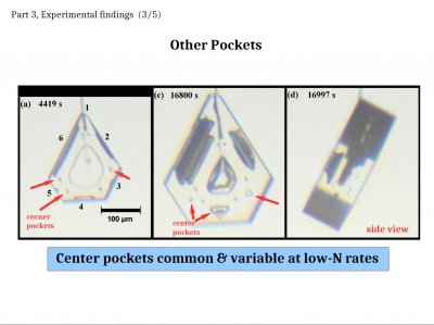 Some &quot;Inexplicable&quot; Snow-crystal Features: Applications of Lateral Growth