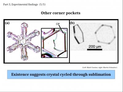 Some &quot;Inexplicable&quot; Snow-crystal Features: Applications of Lateral Growth