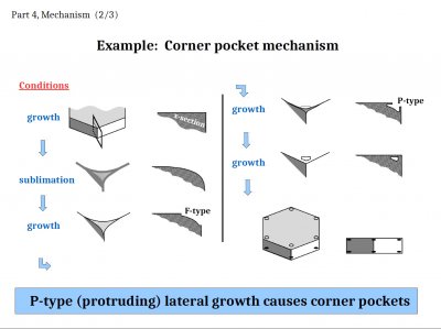 Some &quot;Inexplicable&quot; Snow-crystal Features: Applications of Lateral Growth