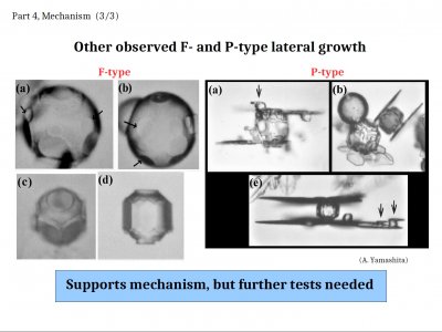 Some &quot;Inexplicable&quot; Snow-crystal Features: Applications of Lateral Growth