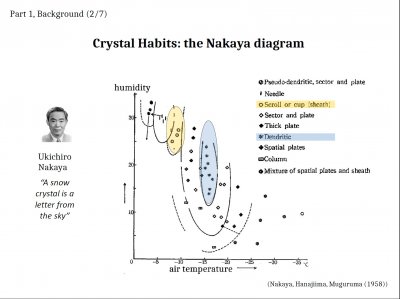 Some &quot;Inexplicable&quot; Snow-crystal Features: Applications of Lateral Growth