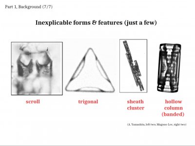 Some &quot;Inexplicable&quot; Snow-crystal Features: Applications of Lateral Growth