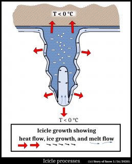 The Growing Icicle's Hollow Tip