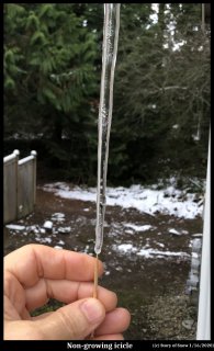 The Growing Icicle's Hollow Tip
