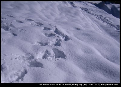 Blues and Whites of Snow and Ice