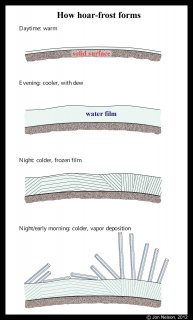 Curved Film Frost, Part 1: On the General Causes