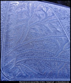 Curved Film Frost, Part 1: On the General Causes