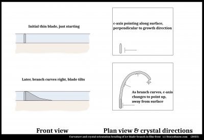 Curved Film Frost, Part 1: On the General Causes