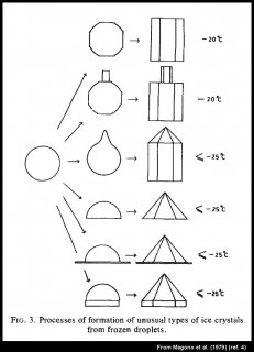 Odd Radius Haloes and Pyramidal Crystal Faces