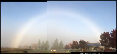 A Fogbow