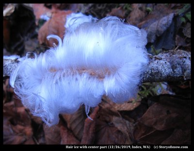 Parting and Bending of Hair Ice