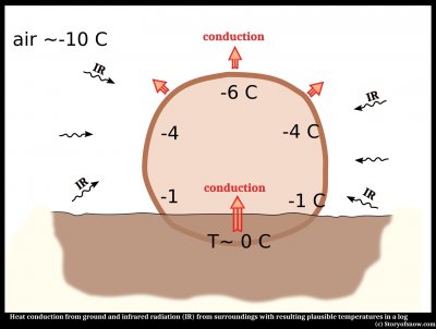 Parting and Bending of Hair Ice