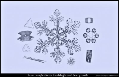Some &quot;Inexplicable&quot; Snow-crystal Features: Applications of Lateral Growth