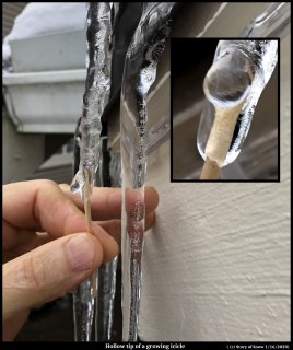 The Growing Icicle's Hollow Tip