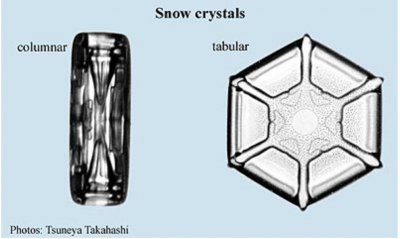 The Snowflake’s Closest of Kin